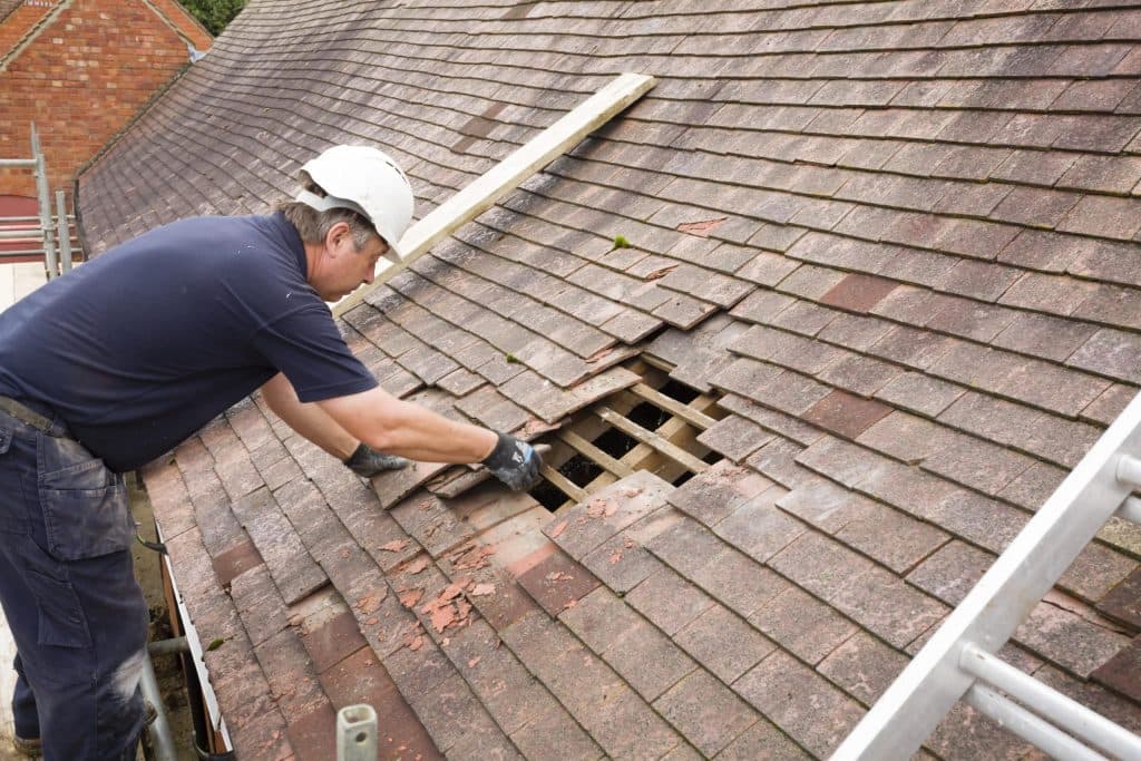 Asphalt Shingle Roof Repair