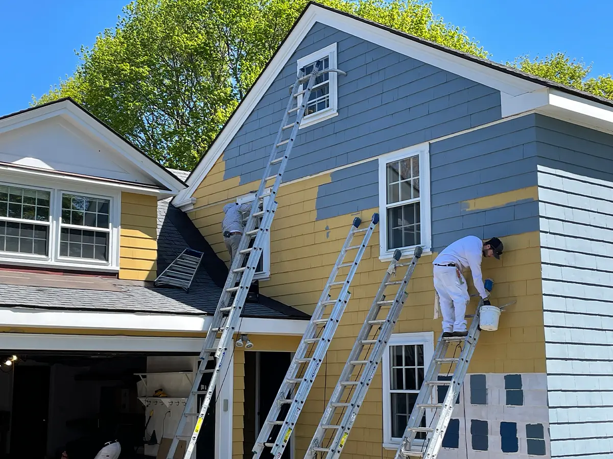 What We Paint